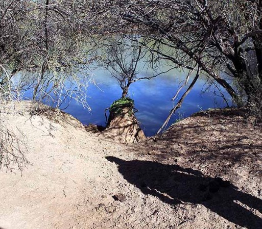 TOHONO O'ODHAM NATION, AZ - JANUARY 19 : U.S. Immigration and Customs Enforcement tactical agent John Bothof tracks illegal immigrants' footprints to the bank of a pond on January 19, 2011 in the Tohono O'odham Nation, Arizona. He said that immigrants and drug smugglers often stop at the pond to drink while crossing the Sonoran Desert from Mexico. Bothof is a member of the Shadow Wolves, the only Native American unit of the U.S. Immigration and Customs Enforcement agency. The ICE unit tracks and interdicts drug smugglers crossing into the Indian reservation along a 72-mile stretch of the U.S.-Mexico border. (Photo by John Moore/Getty Images) *** Local Caption *** John Bothof