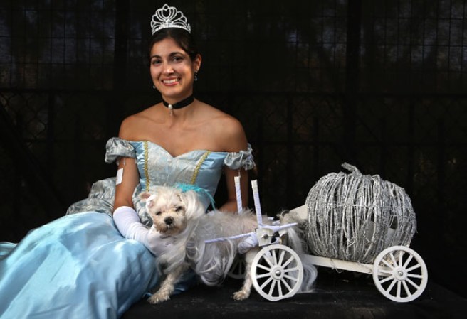 Varias mascotas se dieron cita al desfile “Tompkins Square Halloween Dog Parade” de Nueva York , una fiesta de Halloween para perros por todo lo alto.