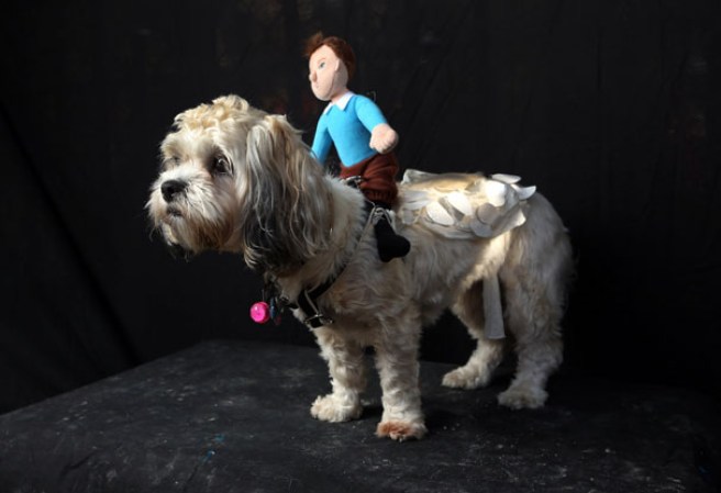 Varias mascotas se dieron cita al desfile “Tompkins Square Halloween Dog Parade” de Nueva York , una fiesta de Halloween para perros por todo lo alto.
