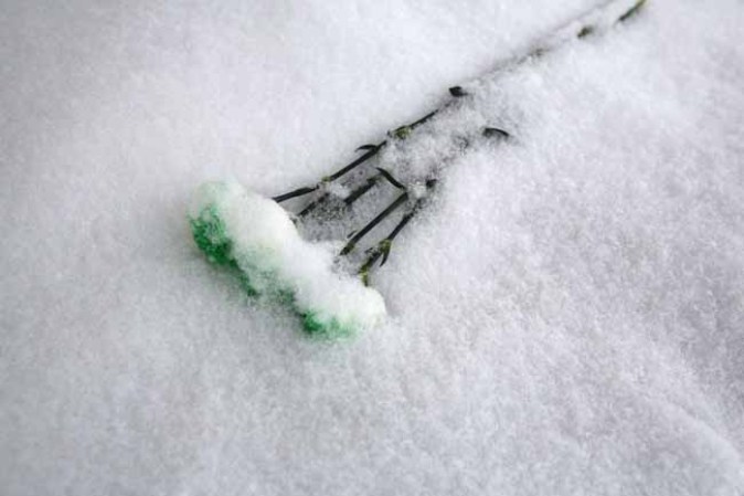 Masacre de Newtown: un aniversario en silencio.