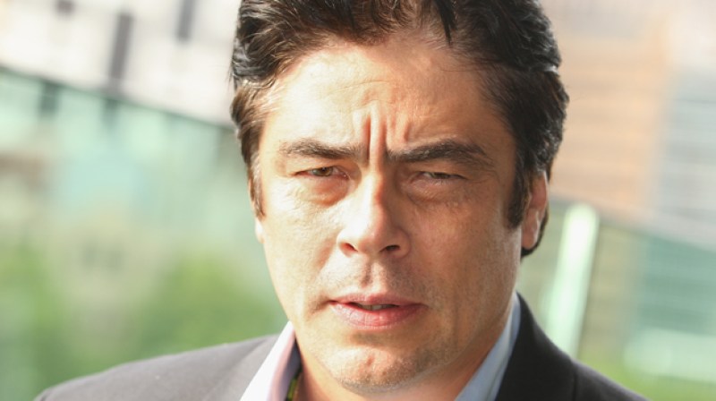 MELBOURNE, AUSTRALIA - OCTOBER 11: Actor Benicio Del Toro poses during a photocall for "Savages" at Club 23 on October 11, 2012 in Melbourne, Australia. (Photo by Scott Barbour/Getty Images)