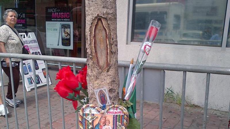 ¿Ves a la Virgen de Guadalupe?