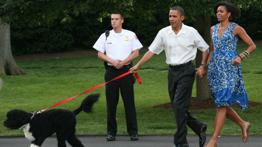 tlmd_obamacare20