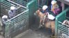 Video muestra maltrato animal a caballos en popular rodeo de Castro Valley