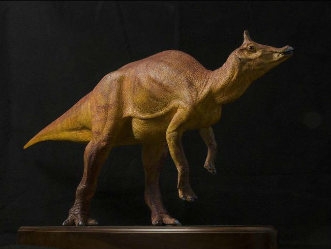 <strong>Dinosaurio estatal</strong>: Augustynolophus Morrisi<br>El asambleísta Richard Bloom presentó un proyecto de ley para hacer de Augustynolophus morrisi el dinosaurio estatal, en el que se convirtió en 2017. El dinosaurio vivió hace unos 66 millones de años en lo que hoy es el Valle Central de California. Los fósiles se descubrieron por primera vez en 1939 en el condado de Fresno.