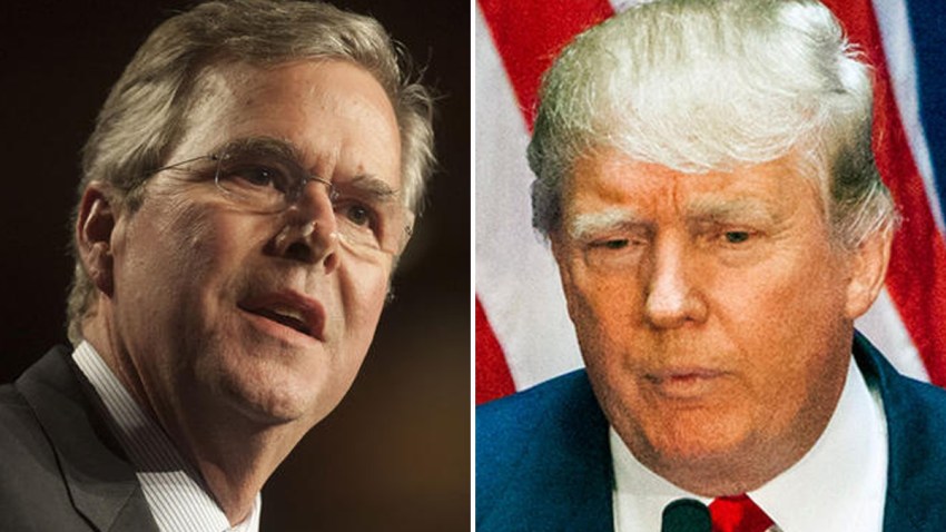 Bush-Trump
