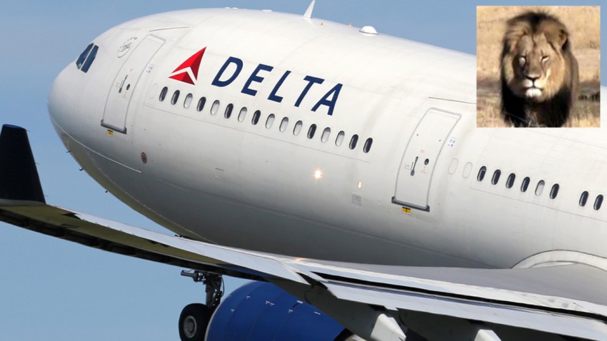 Delta-Leon