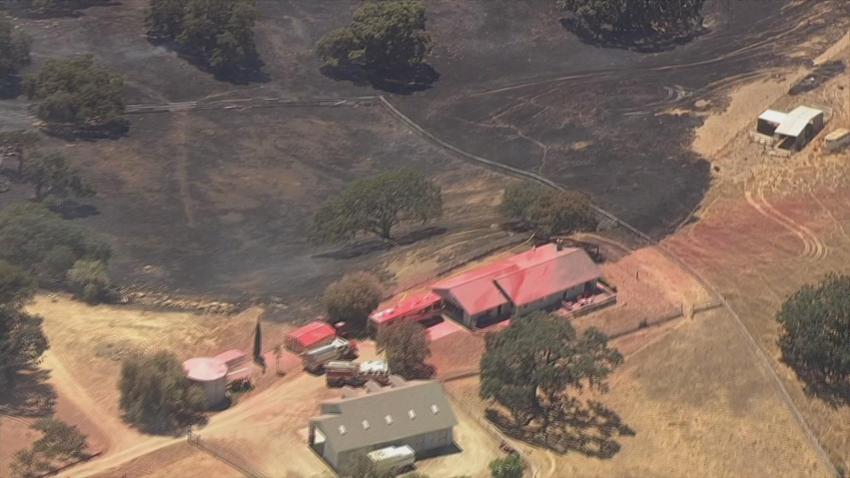 GILROY BRUSH FIRE CHOPPER RAW - 01144214