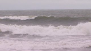 SANTA CRUZ WAVES RAW FOSTER - 16010621