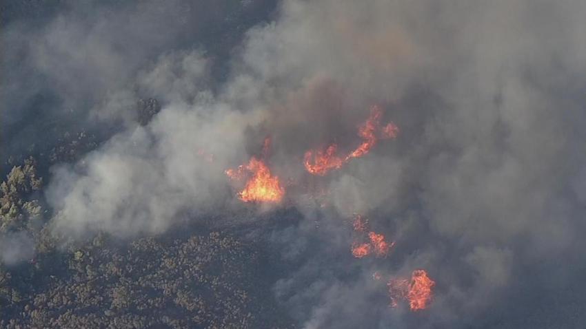 STEPHANIE AM NAPA FIRE VO - 00000620