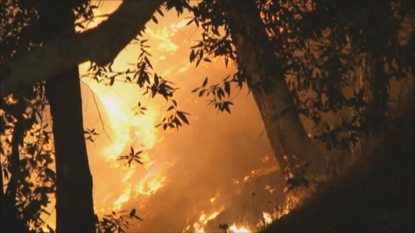 T5A SAN JOSE BRUSH FIRE KATHERINE VO - 00000000