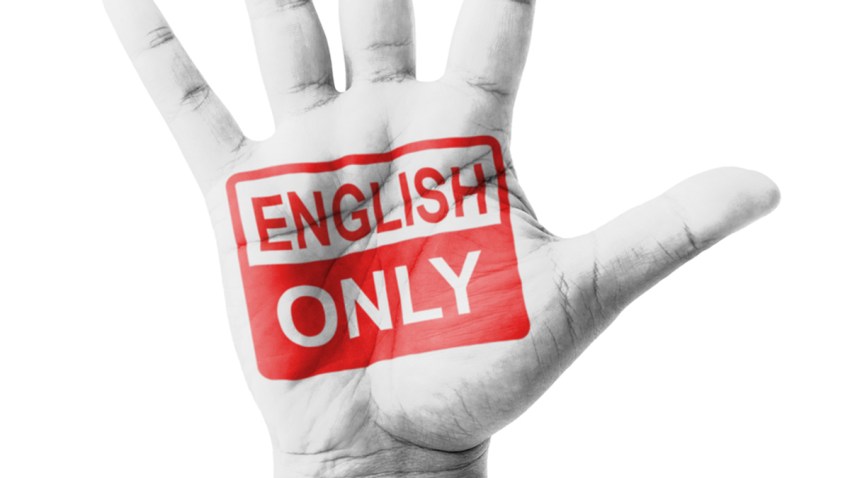 TLMD-english-only