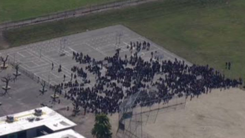 TLMD-preparatoria-milpitas