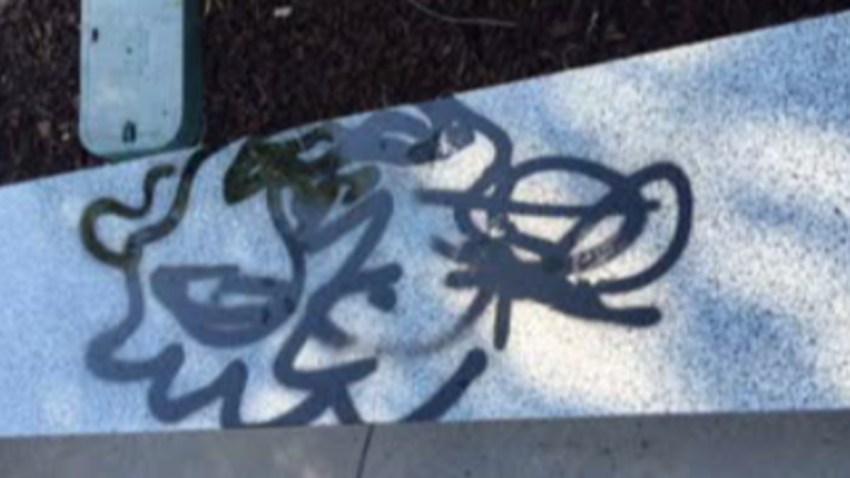 TLMD-vandalismo-danville
