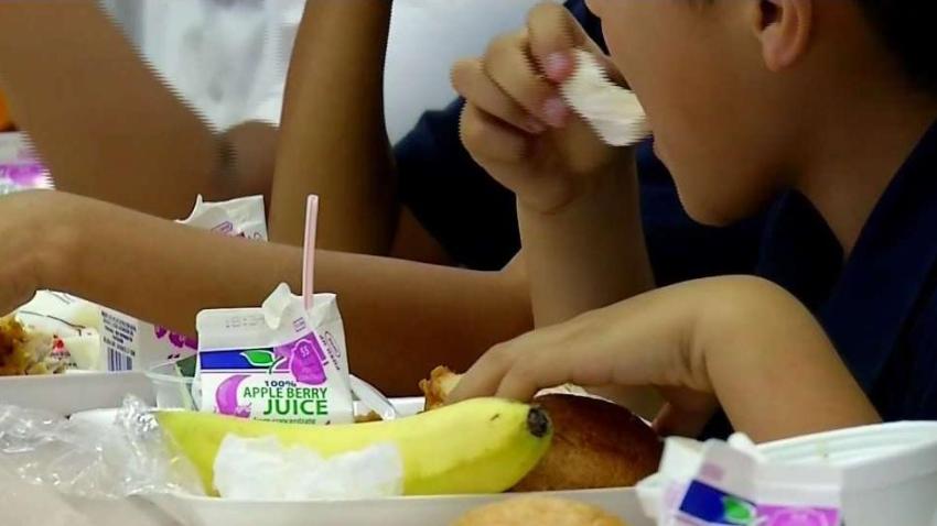 comida_gratis_y_nutricion_de_programas.jpg