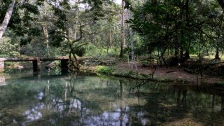 Paisaje en Tezonapa, Veracruz.