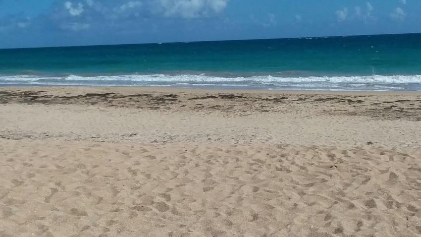playa_242 (2)1