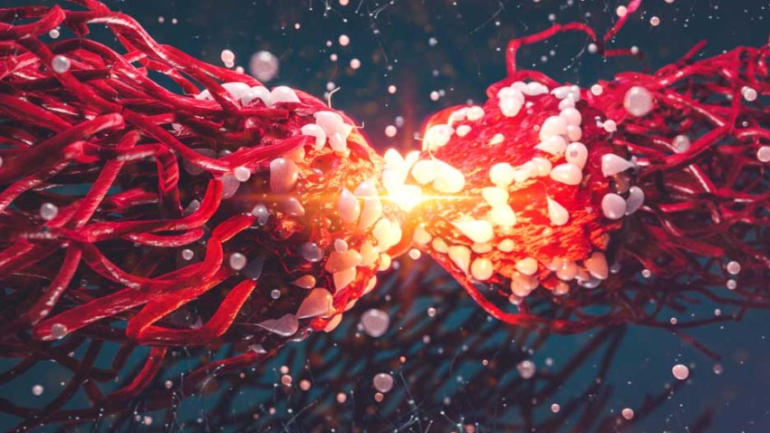 shutterstock-CRISPR-cancer