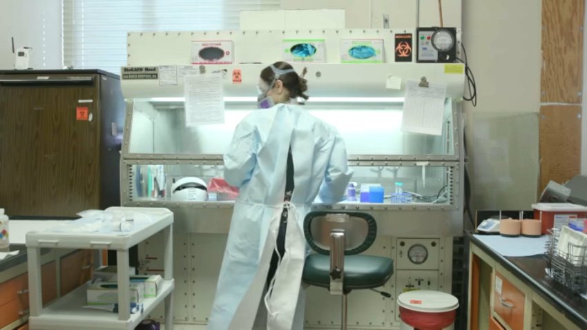 Stanford researcher in a lab