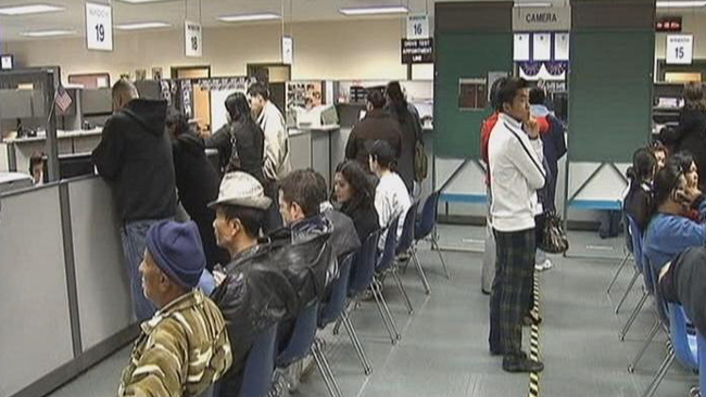 tlmd_licencias_dmv_indocumentados