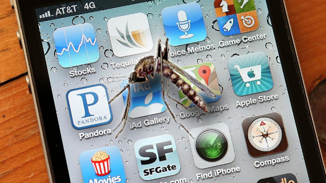 tlmd_mosquito_app_picture_phone_st