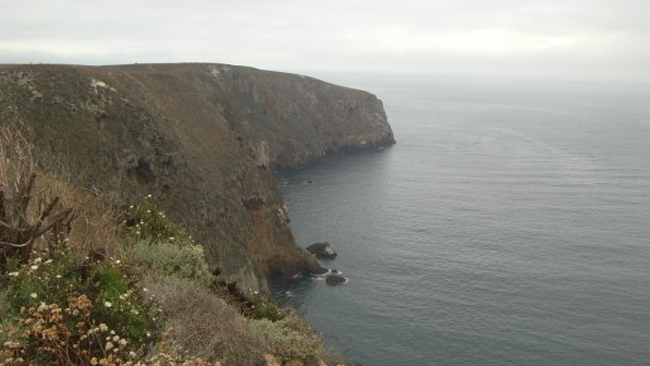 tlmd_santacruzisland