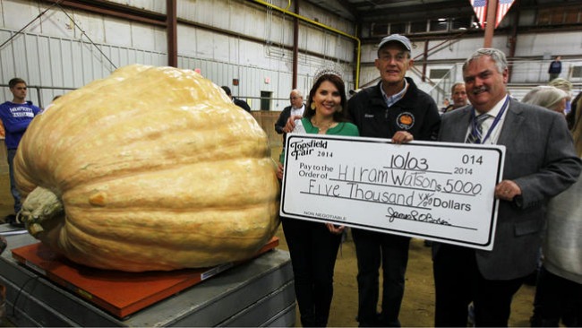 tlmd_topsfield_pumpkin_calabaza_gigante_ganador_2014