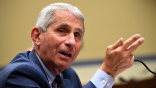 Anthony Fauci, director of the National Institute for Allergy and Infectious Diseases, testifies during a House Subcommittee on the Coronavirus Crisis hearing on a national plan to contain the COVID-19 pandemic, on Capitol Hill in Washington, D.C. on July 31, 2020.