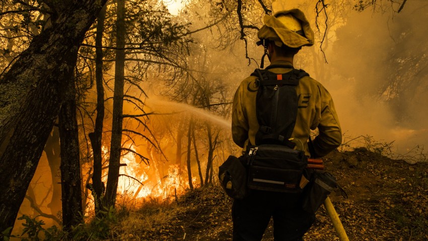 A firefighter extinguishes portions of a controlled burn during the Glass Fire.