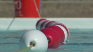 A floating red and white pool rope