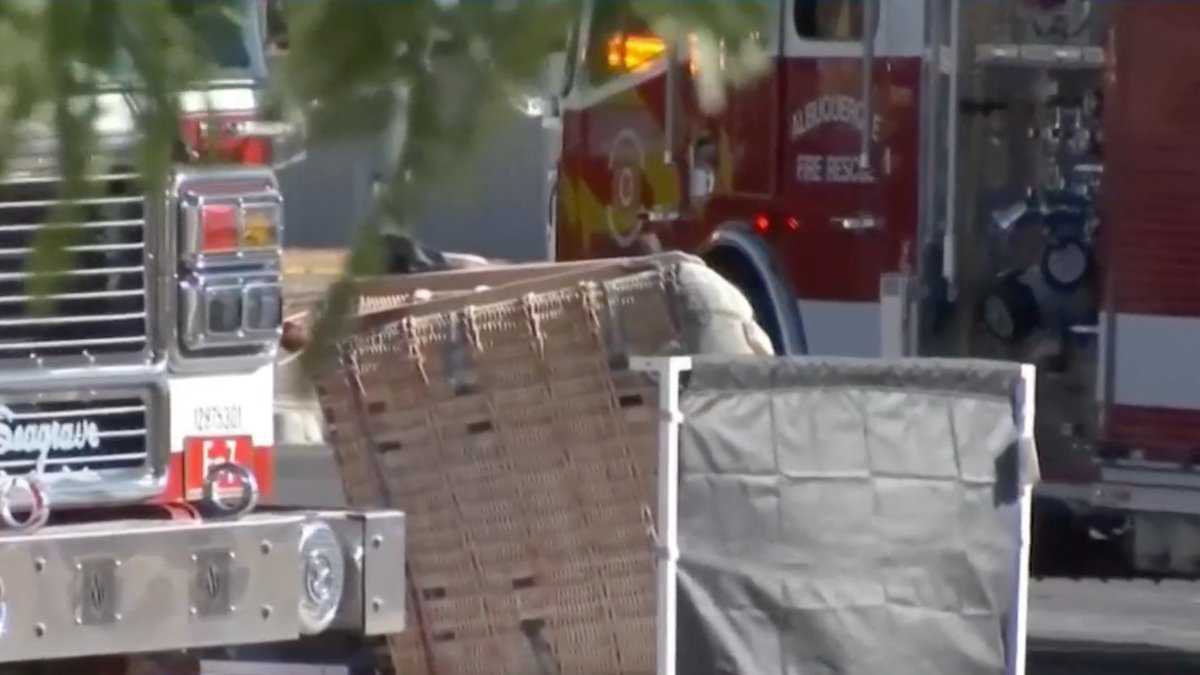 Mueren en globo aeroestático en Alburquerque – Telemundo Area de la Bahía 48 - Vimarsana News