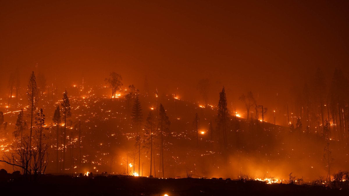 California: el incendio Caldor avanza y arrasa en el norte del estado – Telemundo Area de la Bahía 48 - Vimarsana News