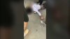 Preocupación ante peleas violentas entre estudiantes de secundaria en San José