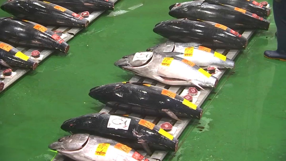 Toxina afecta el ecosistema marino y a los seres humanos