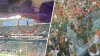 Gato suertudo se vuelve viral: fanáticos atrapan al animal que cayó de piso superior en estadio de Miami