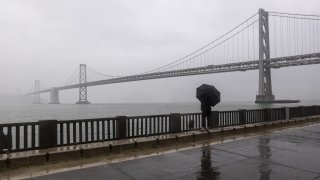 A pedestrian carries an umbrella on the Embarcadero during a rain storm.