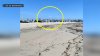 “El motor se detuvo”: captan en video peligroso aterrizaje de emergencia en una playa