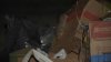 “Me da asco”: campamento de desamparados continúa plagado de ratas en San José