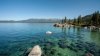 Plantas ayudan a mejorar la claridad del agua de Lake Tahoe