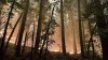 Advertencia por contaminación del aire en la Bahía debido a incendio forestal en Yosemite