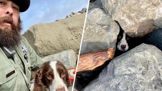San Francisco Animal Care and Control Officer Carlos Ortega rescues a dog that was trapped in a rock pile at Ocean Beach.