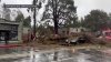 Caos en la Bahía: árboles caídos,cierre de calles y apagones