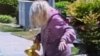 De terror: numerosas abejas atacan a una mujer frente a su casa
