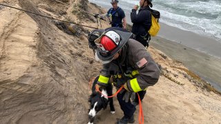 Bomberos rescataron a un hombre y sus dos perros en Fort Funston en San Francisco.