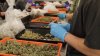 Ley busca facilitar venta de cannabis en ferias de California