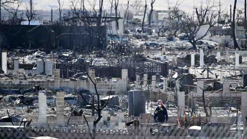 LAHAINIA, HI- AUGUST 18: Search and Rescue members conduct operations in fire damaged areas on Friday August 18, 2023 in Lahania, HI. The death toll continues to rise for the fires on Maui. (Photo by Matt McClain/The Washington Post via Getty Images)