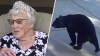 El secreto de una anciana para vivir 105 años, y el aterrador oso de tres patas: lo más insólito