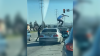 Incidente de ira al volante: habría saltado sobre la ventana  de un auto hiriendo a un perro en San José