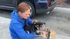 Mascotas de desamparados cuentan con protección en San Francisco