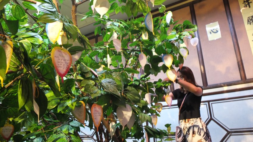 A Buddhist devotee is seen hanging her wish card at a bodhi tree.